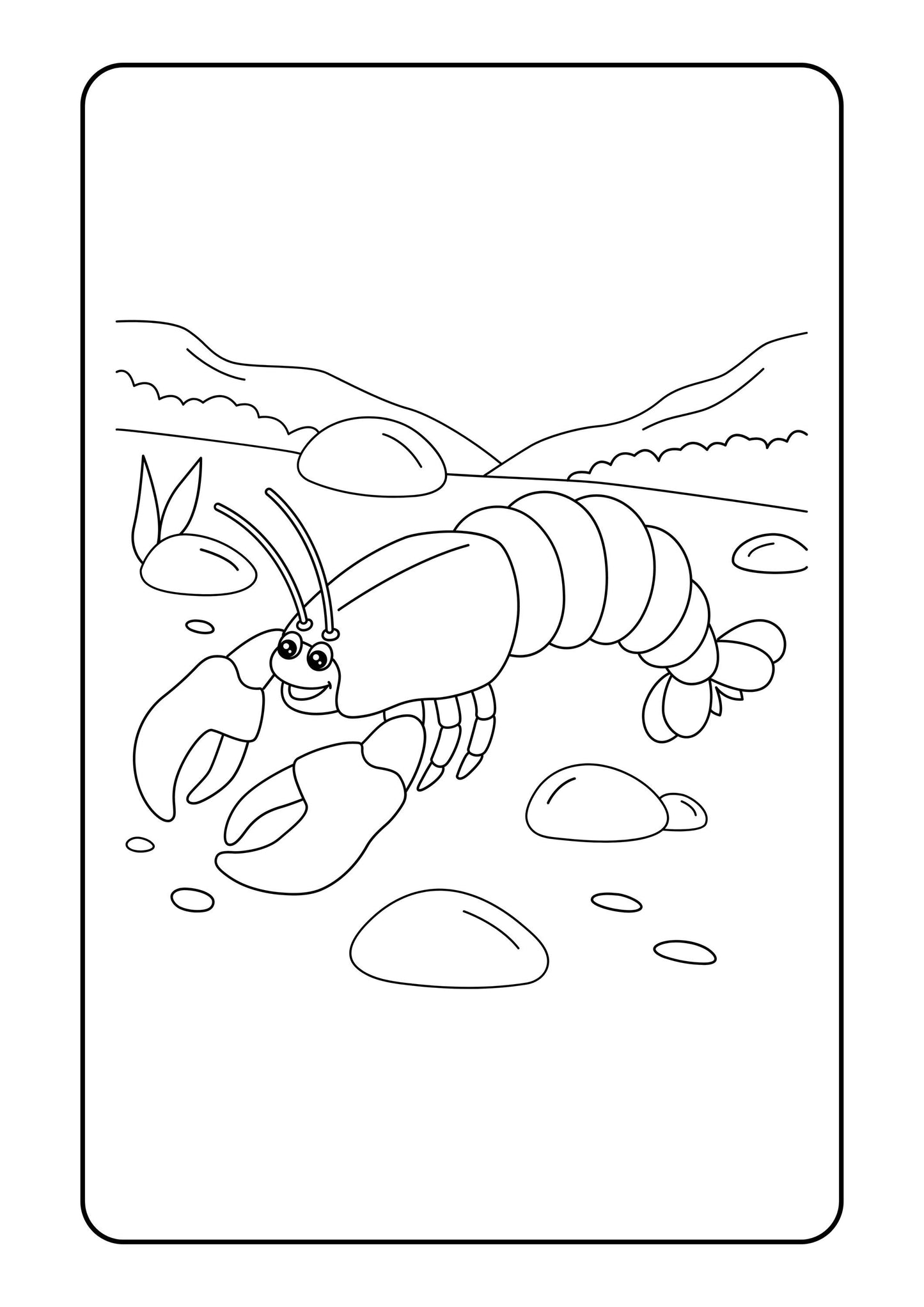 Sea Animal Coloring Book